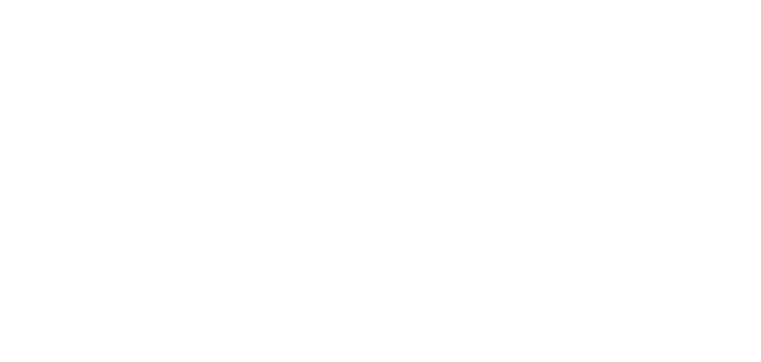 Abstract network graphic representing leadership and organisational connection